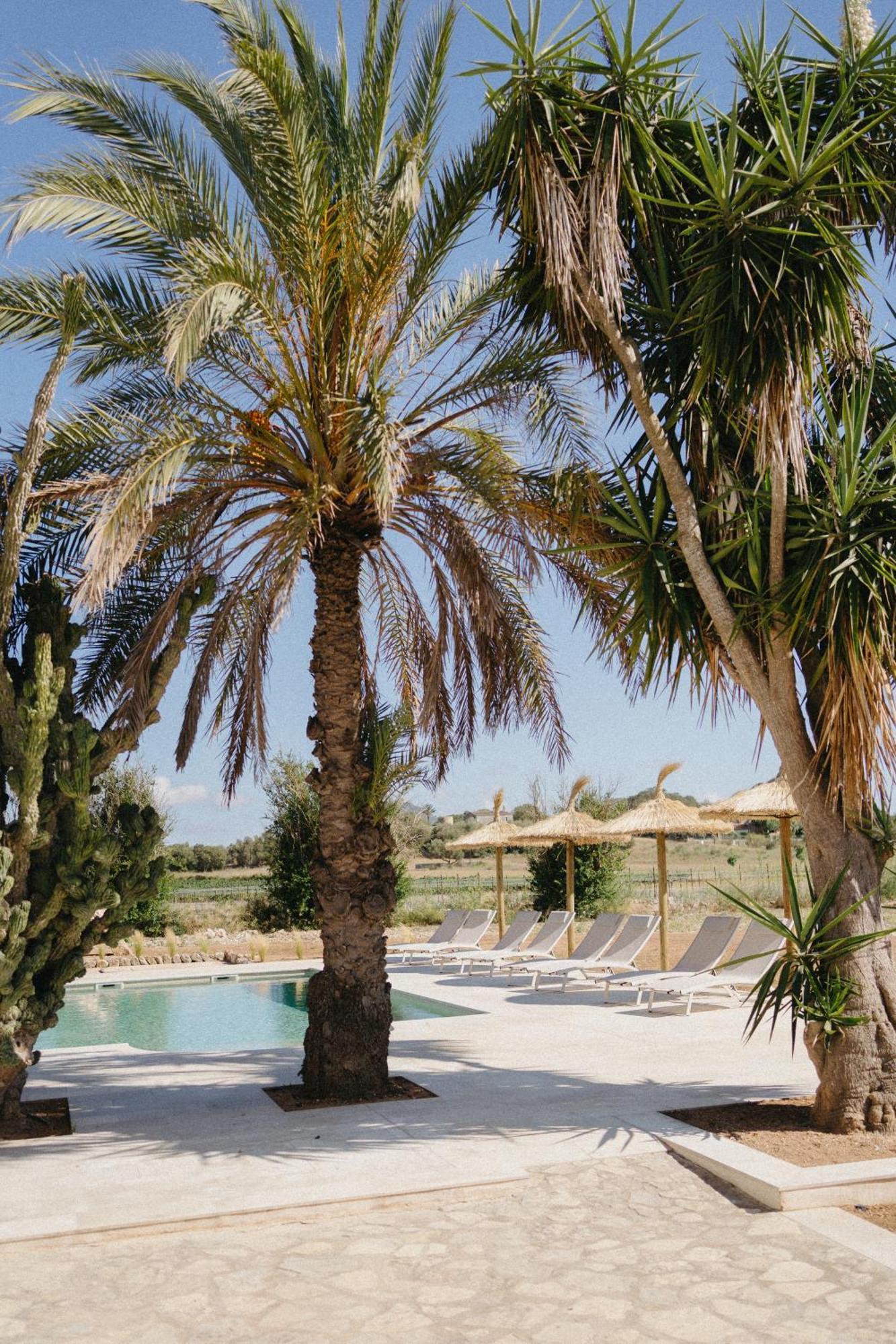 Vino Resort Son Amaret Son Macia (Mallorca) Exterior foto