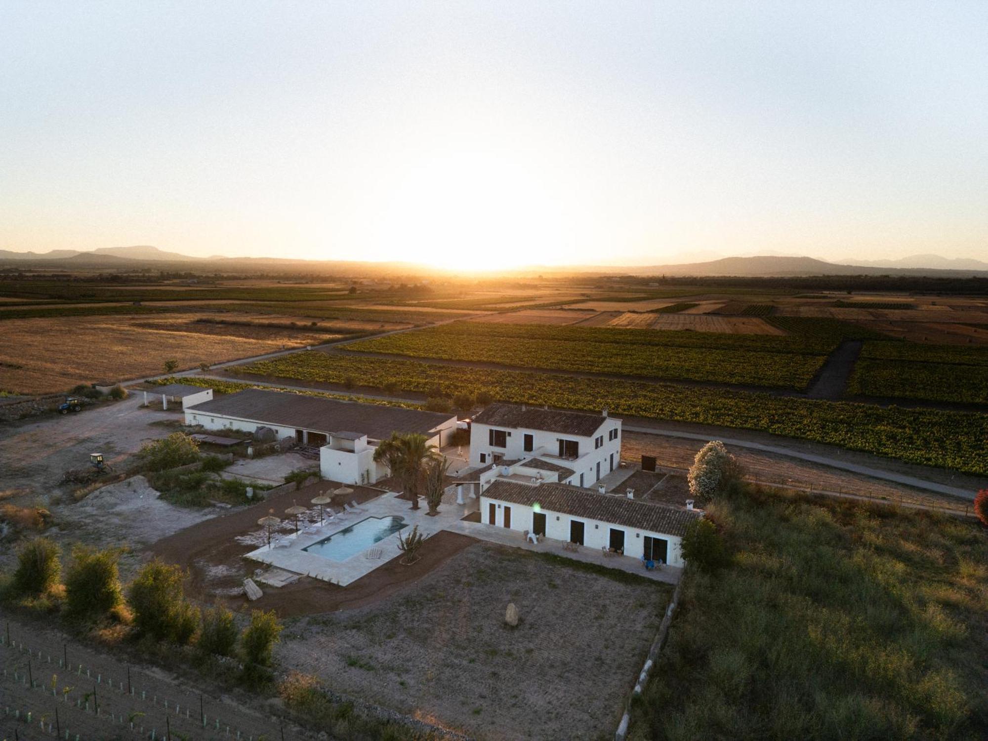 Vino Resort Son Amaret Son Macia (Mallorca) Exterior foto
